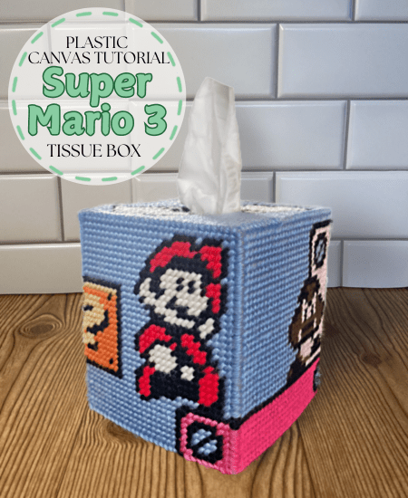 Super Mario Bros 3 Tissue Box&nbsp;Tutorial
